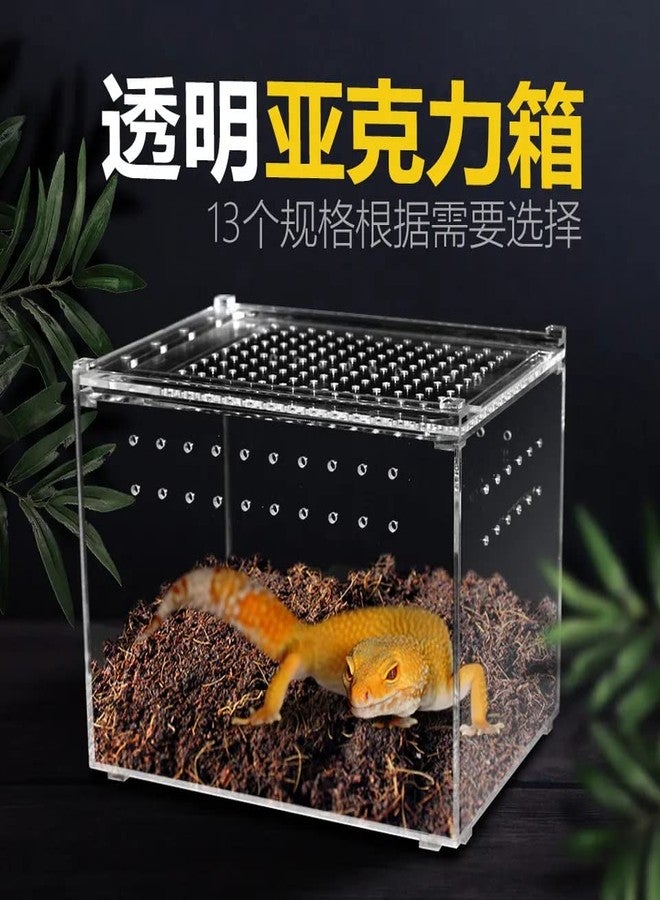 NomoyPet صندوق تربية الزواحف المغناطيسي المصنوع من الأكريليك من نوموي بيت، سلسلة NK (NK-10 (20 * 20 * 30 سم)) - Image 2